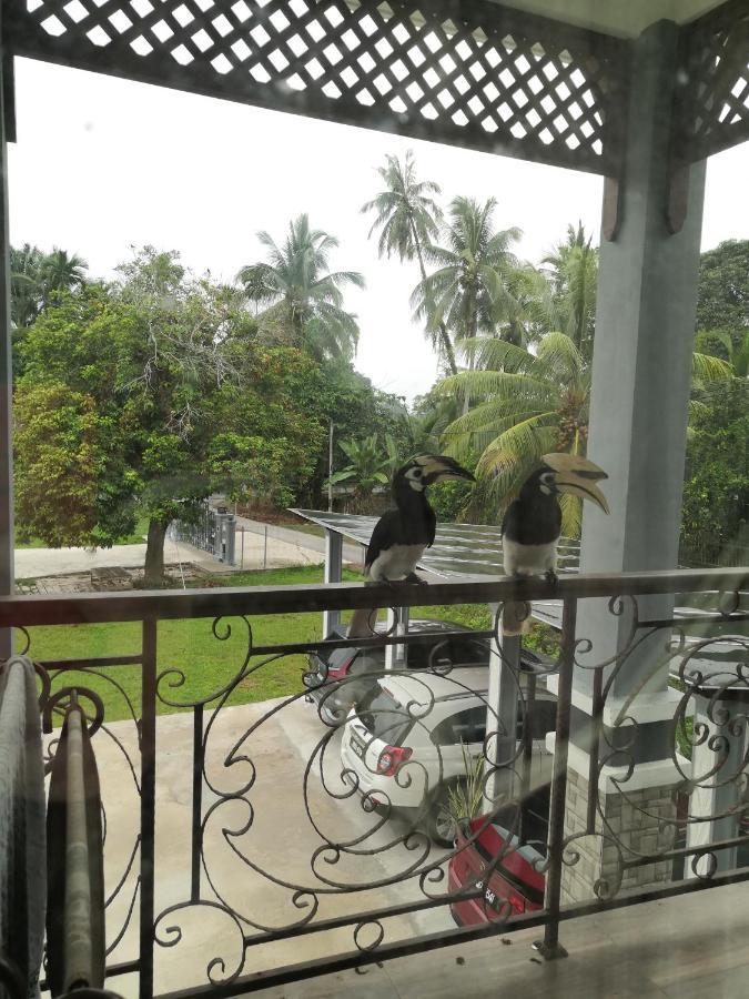 Darney'S Homestay Kg Bangau Tanjung Temerloh Ngoại thất bức ảnh